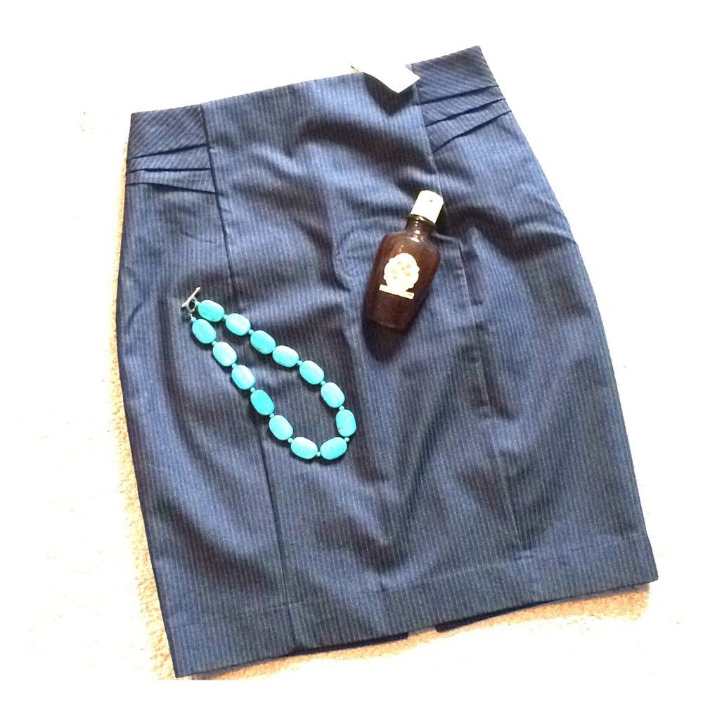 Express Pencil Skirt